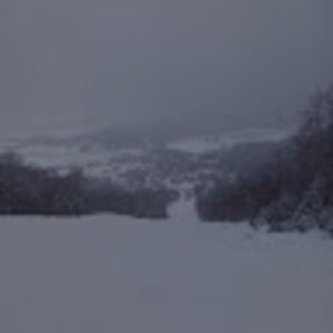 Meet your Posher, Louis